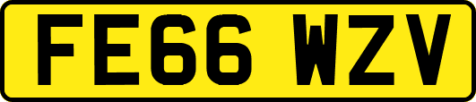 FE66WZV