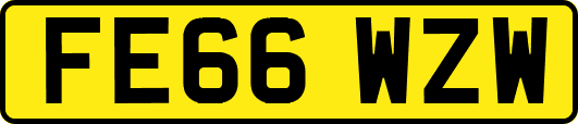 FE66WZW
