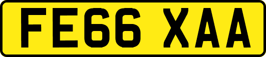 FE66XAA