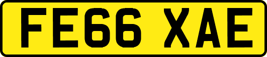 FE66XAE