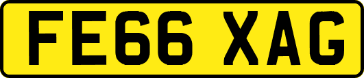 FE66XAG