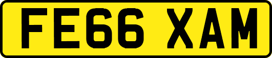 FE66XAM