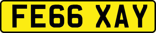 FE66XAY