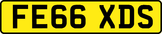 FE66XDS