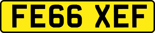 FE66XEF