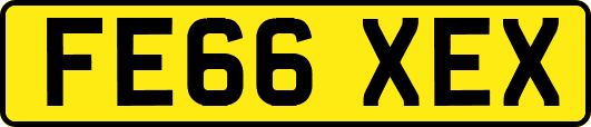 FE66XEX