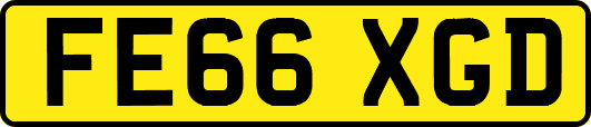 FE66XGD