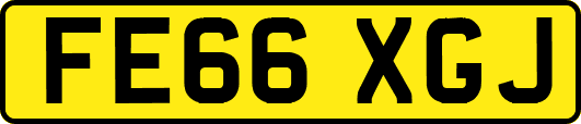 FE66XGJ
