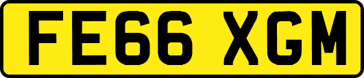 FE66XGM