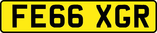 FE66XGR