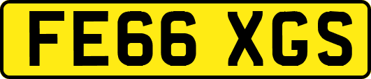 FE66XGS