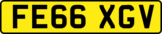 FE66XGV