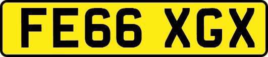 FE66XGX