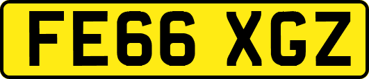 FE66XGZ