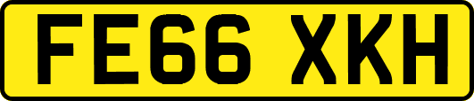 FE66XKH