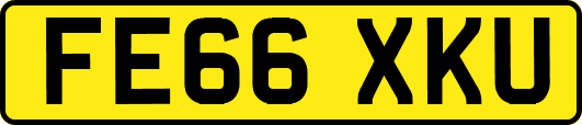 FE66XKU