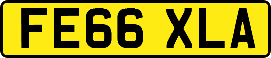 FE66XLA