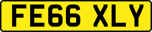 FE66XLY
