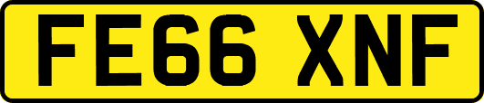 FE66XNF