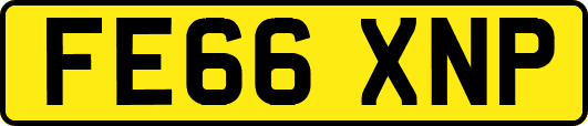 FE66XNP