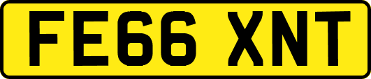 FE66XNT