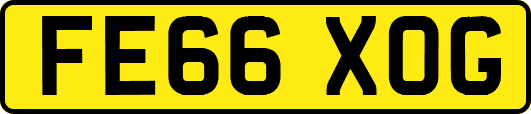 FE66XOG