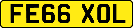 FE66XOL
