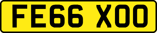 FE66XOO