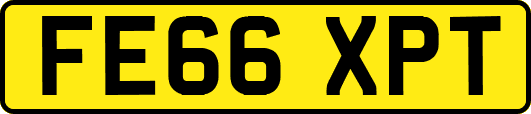 FE66XPT