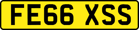 FE66XSS