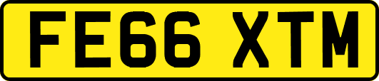 FE66XTM