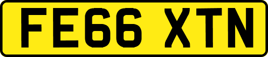 FE66XTN