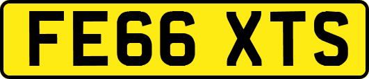 FE66XTS