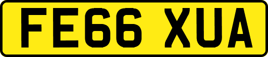 FE66XUA