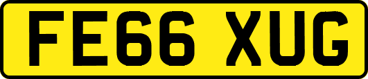 FE66XUG