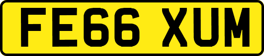 FE66XUM