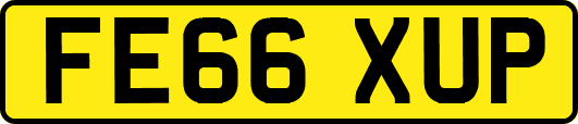 FE66XUP