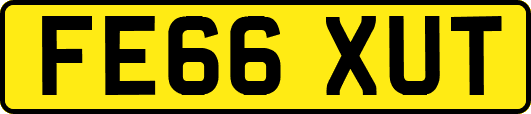 FE66XUT