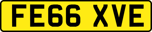 FE66XVE