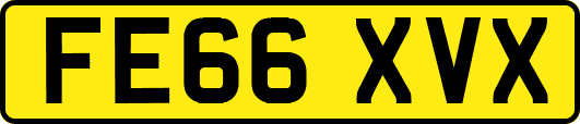 FE66XVX