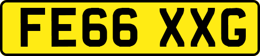 FE66XXG