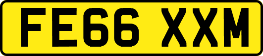 FE66XXM