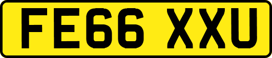 FE66XXU