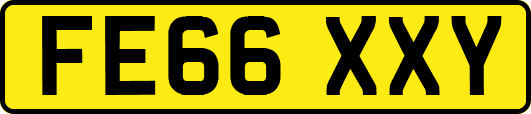FE66XXY