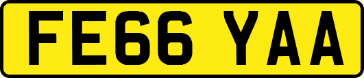 FE66YAA