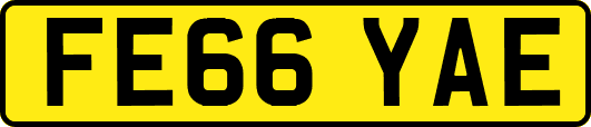 FE66YAE