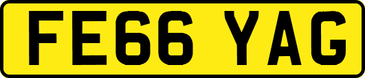 FE66YAG