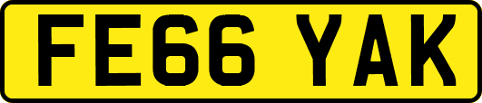 FE66YAK
