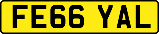 FE66YAL