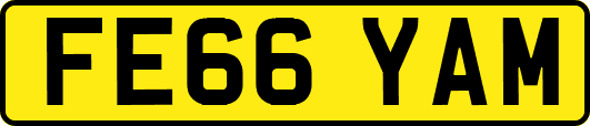FE66YAM